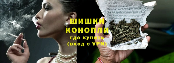 дживик Бородино