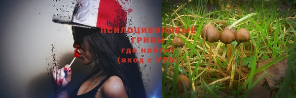 дживик Бородино