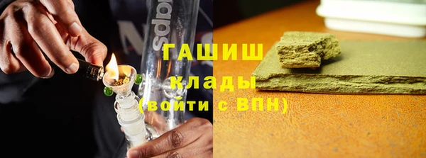 прущие грибы Бронницы