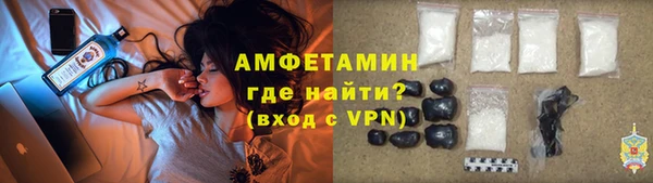 стаф Верея
