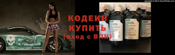 прущие грибы Бронницы