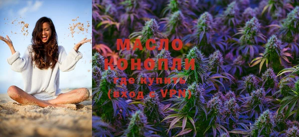 дживик Бородино