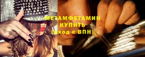 прущие грибы Бронницы