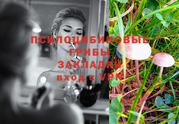 мяу мяу мука Ессентукская