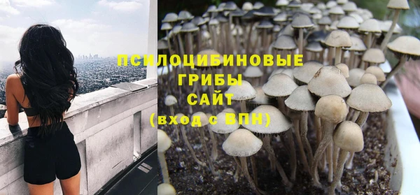 молекула духа Верхний Тагил