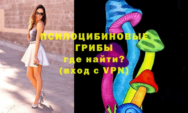 стаф Верея