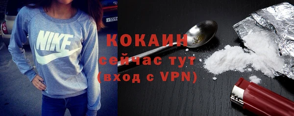 прущие грибы Бронницы