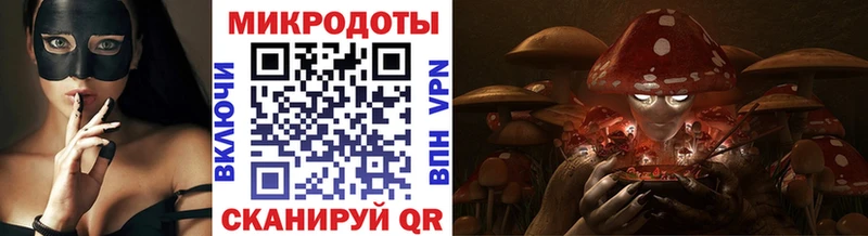 Галлюциногенные грибы Cubensis  Новосокольники 